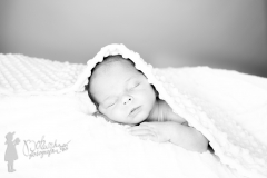 _MG_8505web